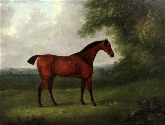 Follower of Francis Sartorius (1734-1804) Portrait of a racehorse Zadoni 1791, 19.5 x 23in.